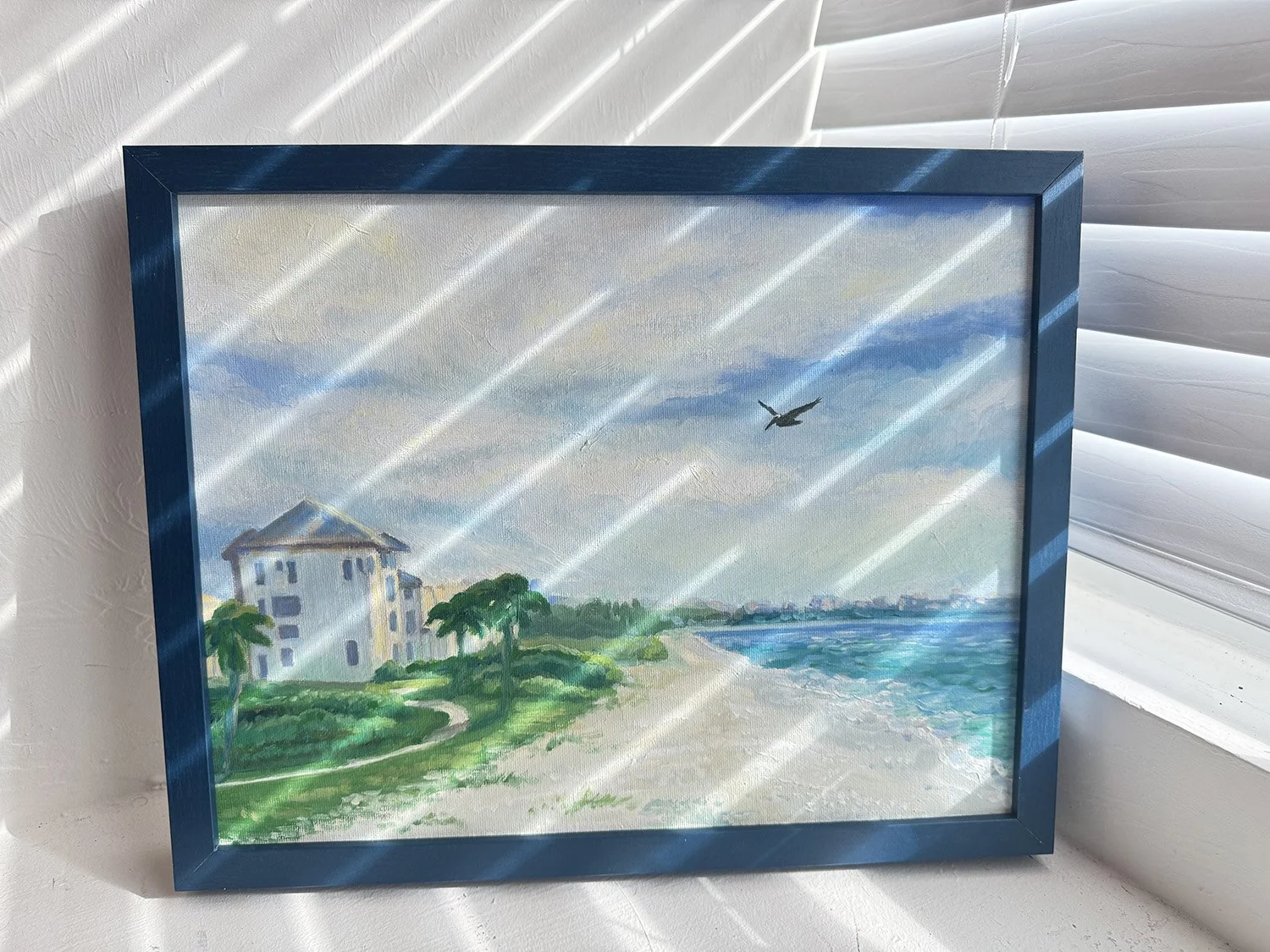 pelican in flight 1.jpg