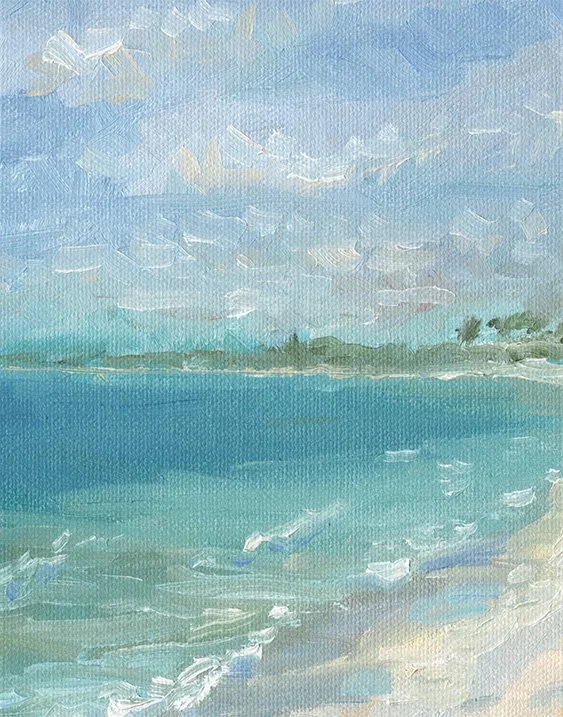 captiva island detail.jpg