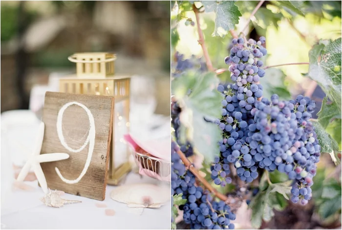 ClosLaChanceCaliforniaWineryWeddingPhotography_0131.jpg