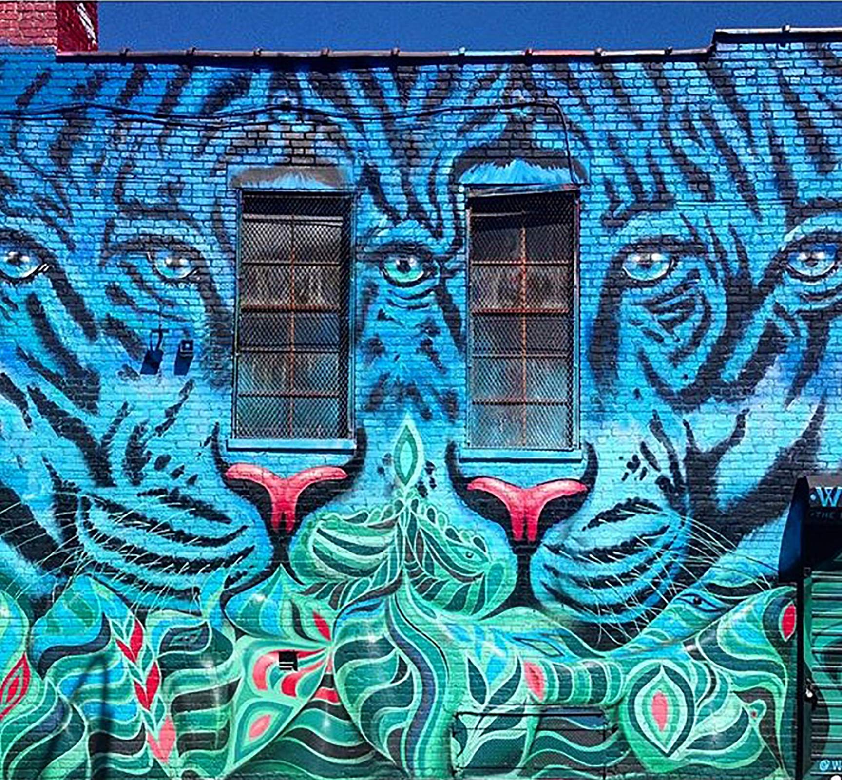 Los Tigres De Bushwick