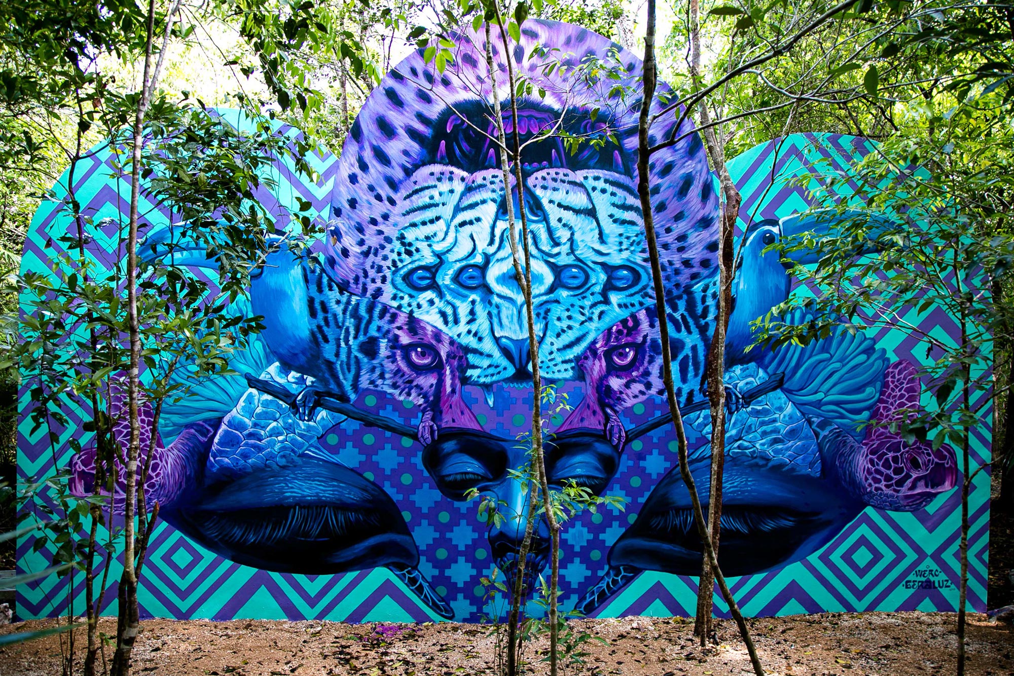 Feel the jungle watching