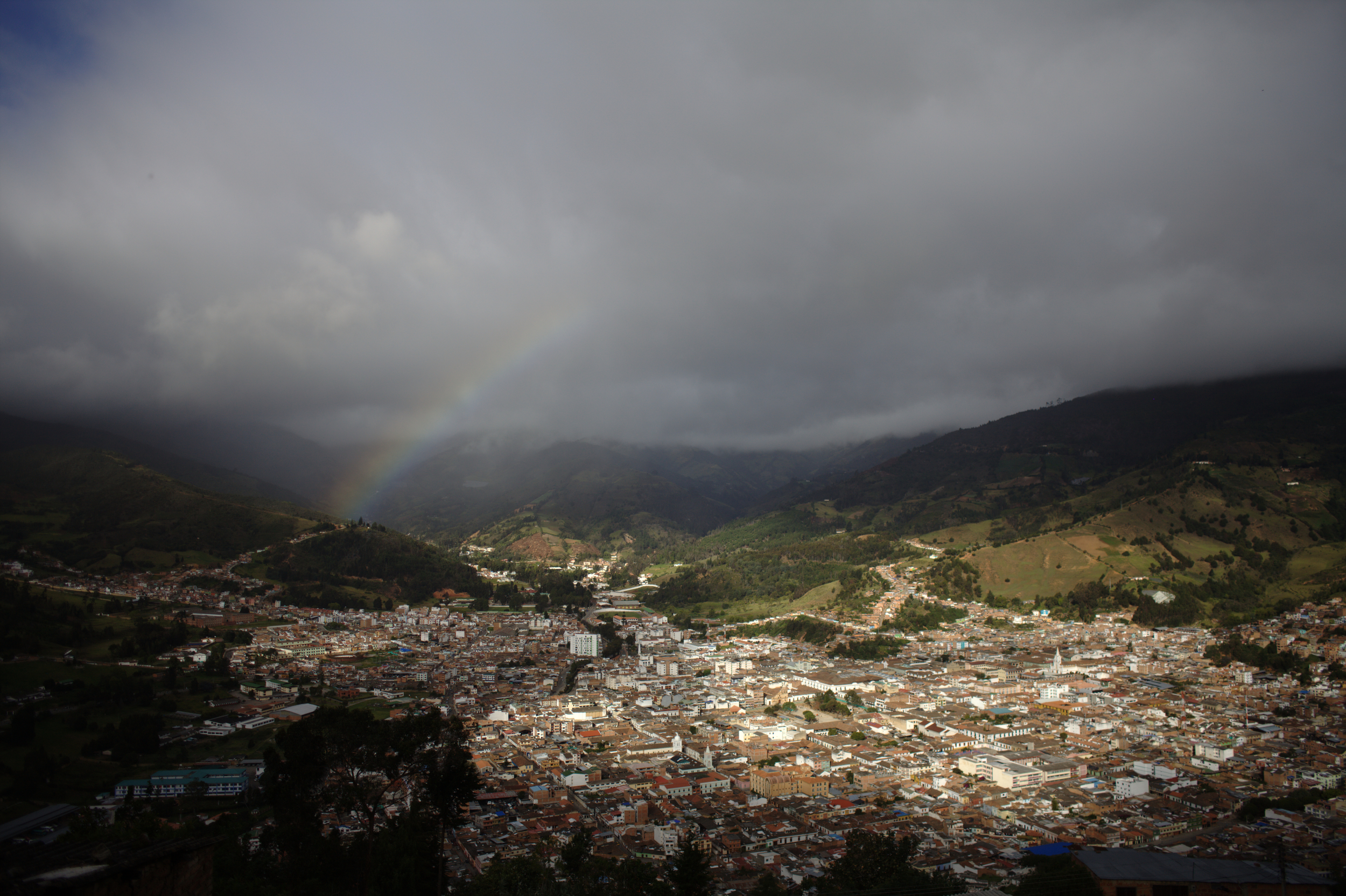 _MG_6537_id_.jpg