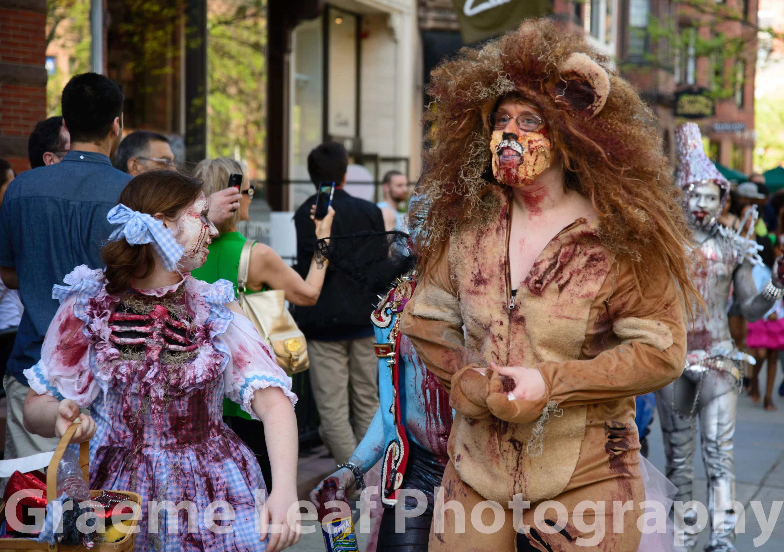 Wizard of Oz Zombies
