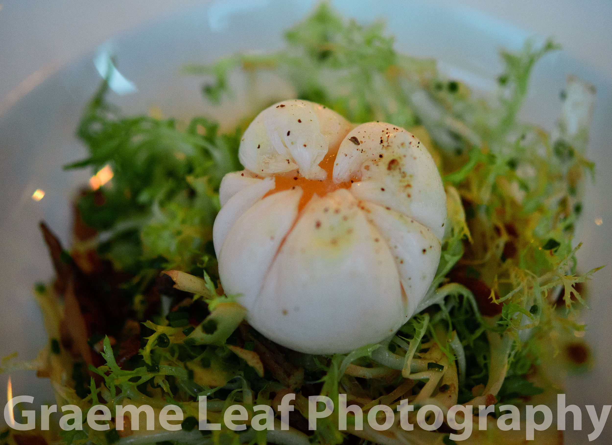 Duck Salad with Egg
