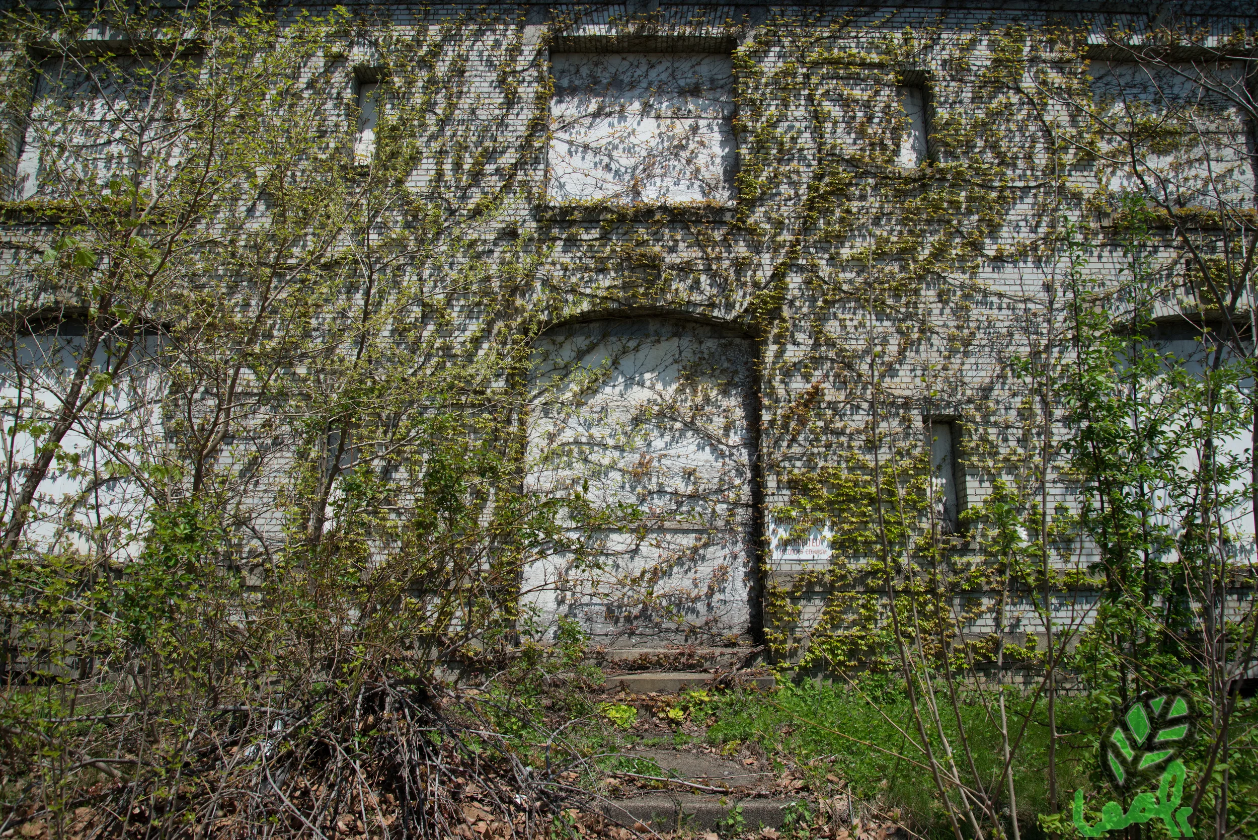 Overgrown