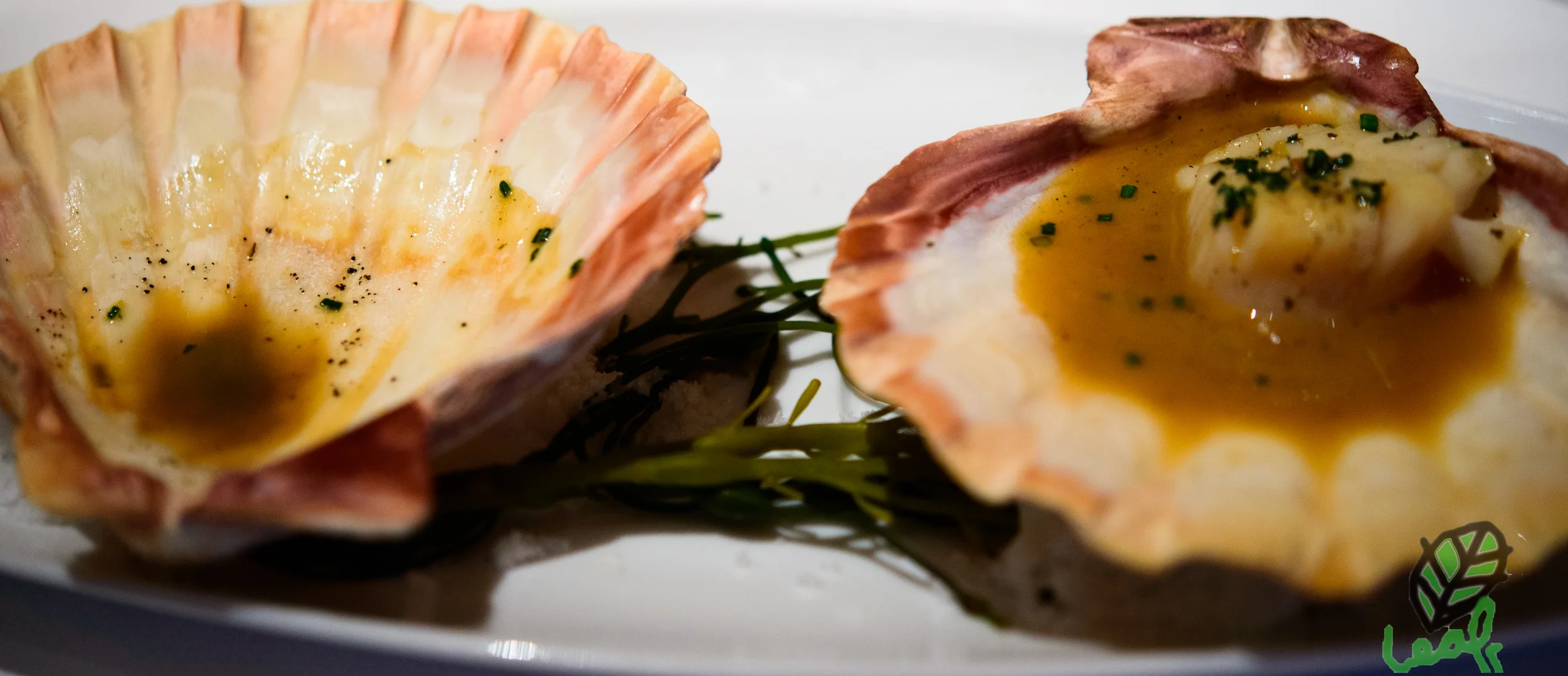 Barely Cooked Scallop