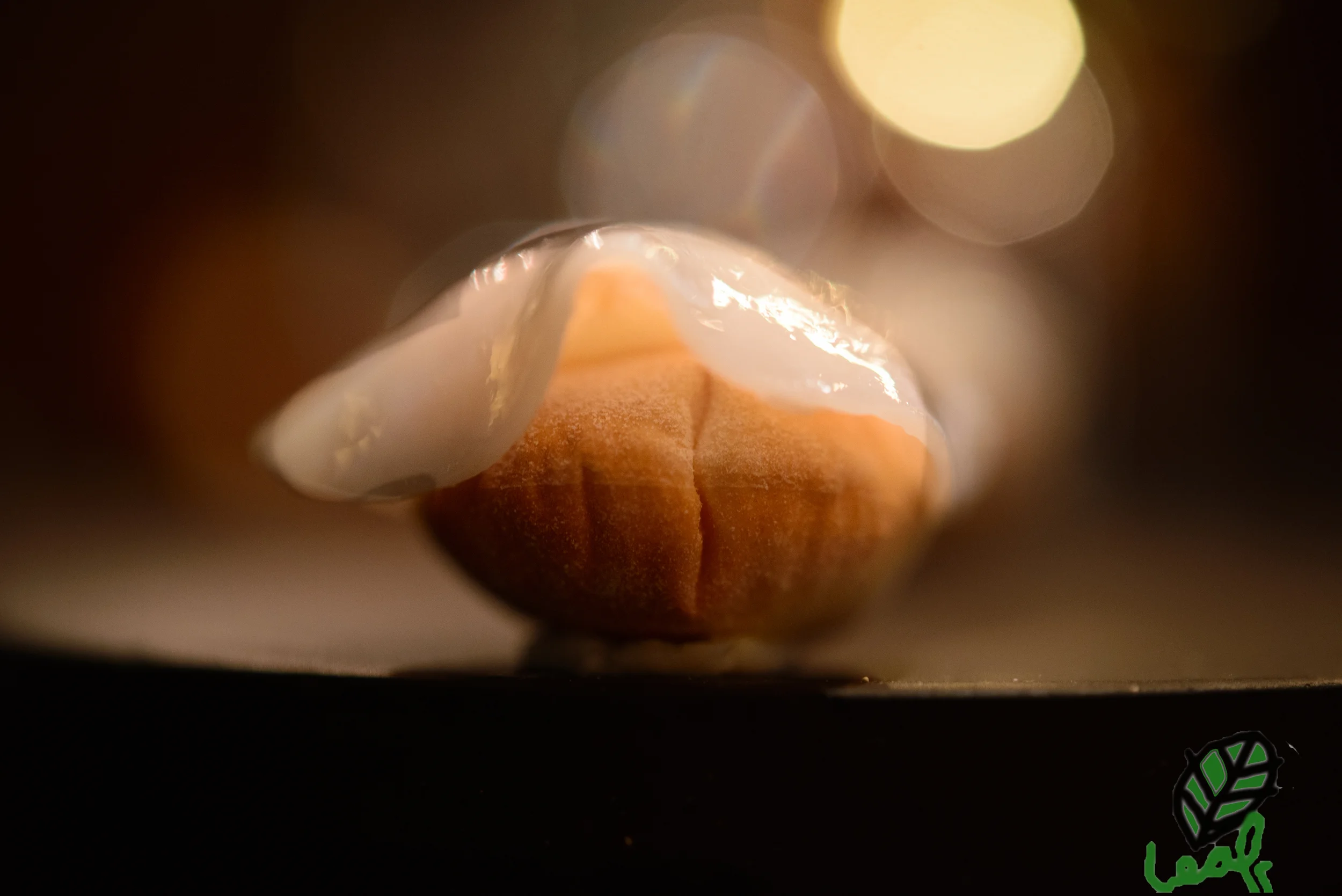 Geoduck and Lardo