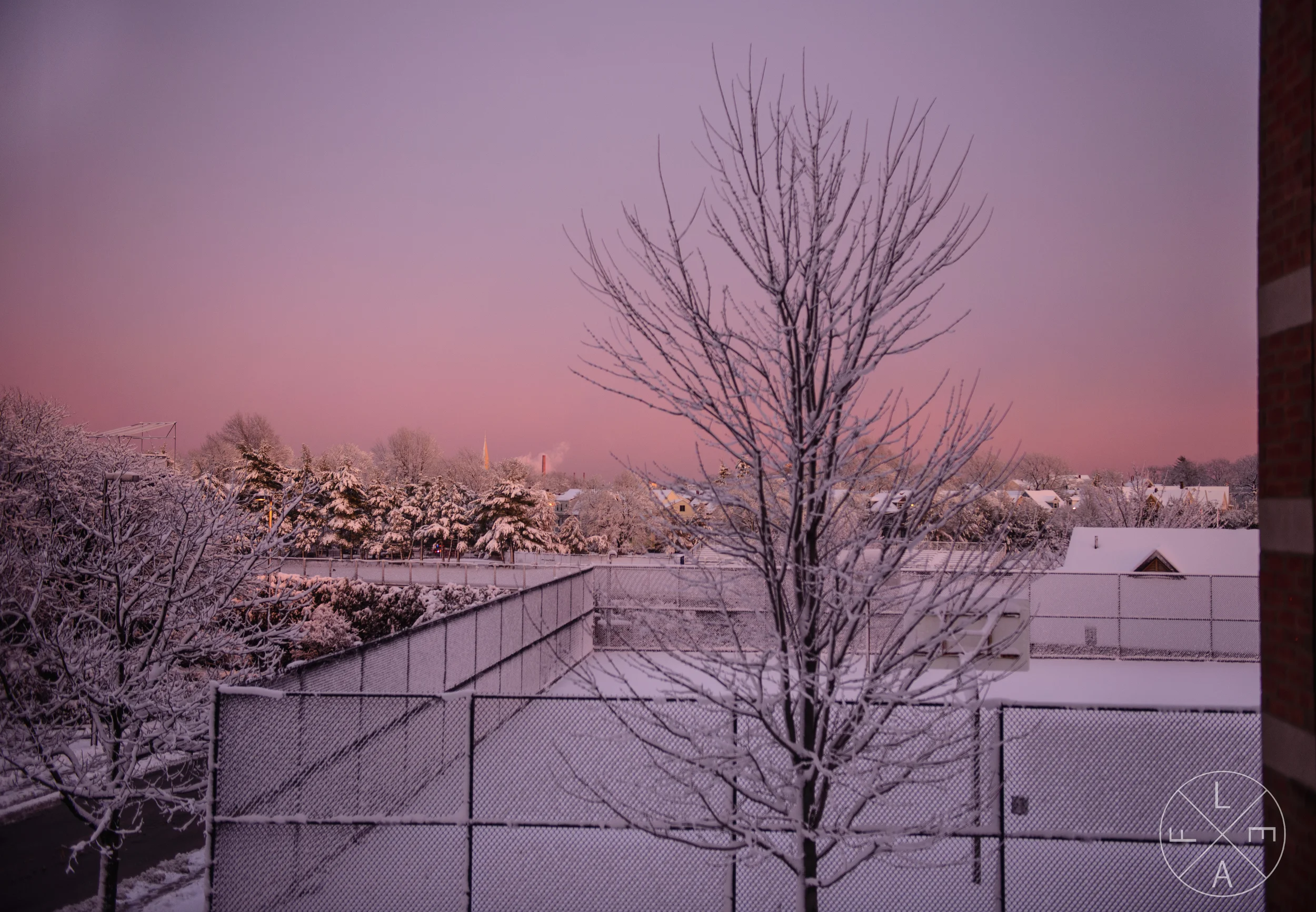 Cotton Candy