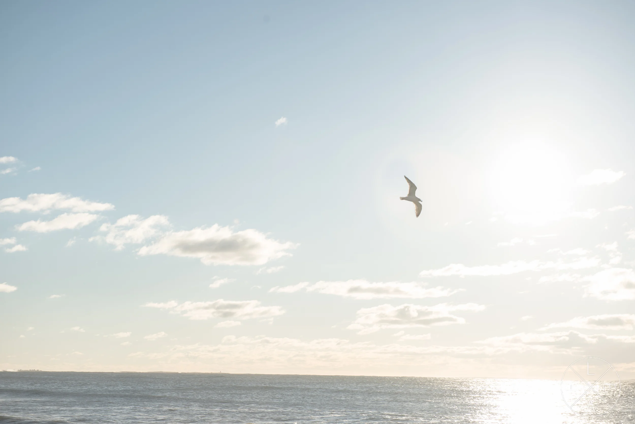 Free Skies 