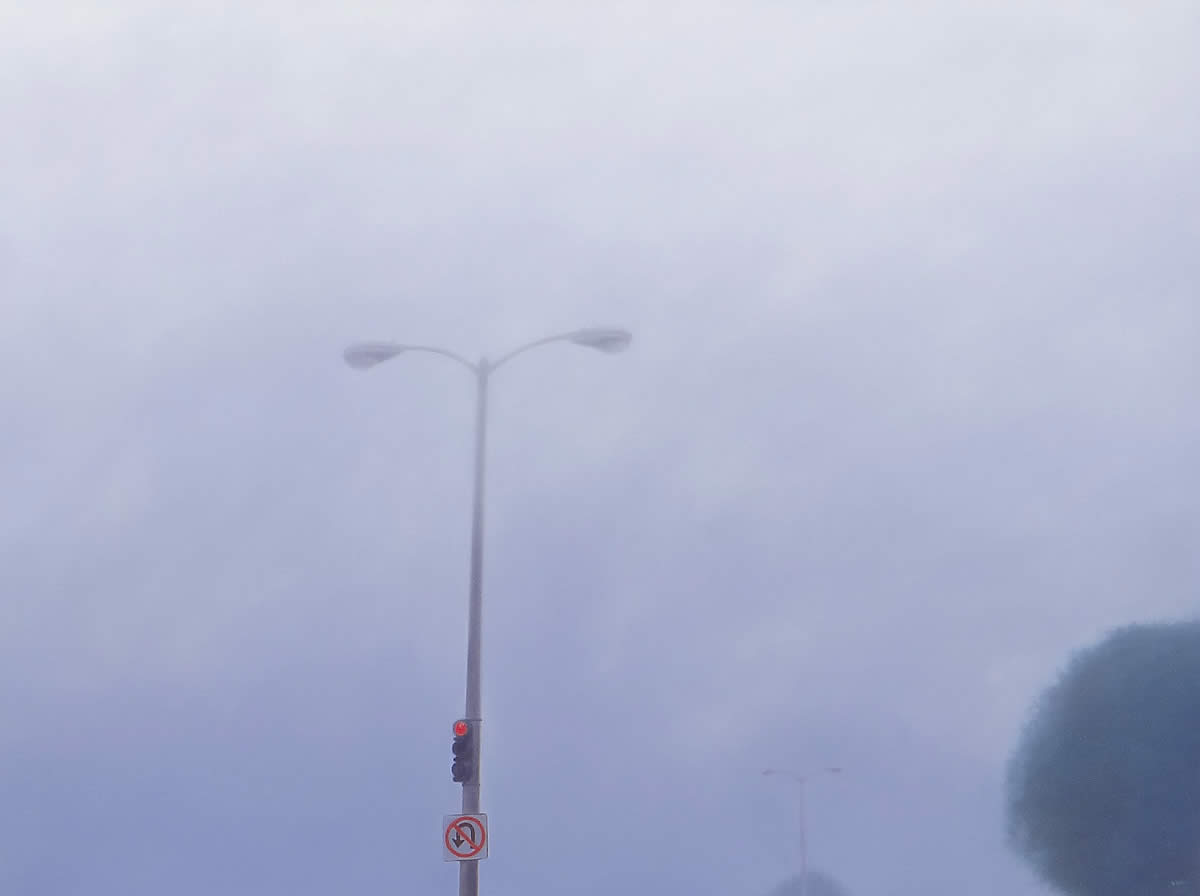 Sold-Morning Fog