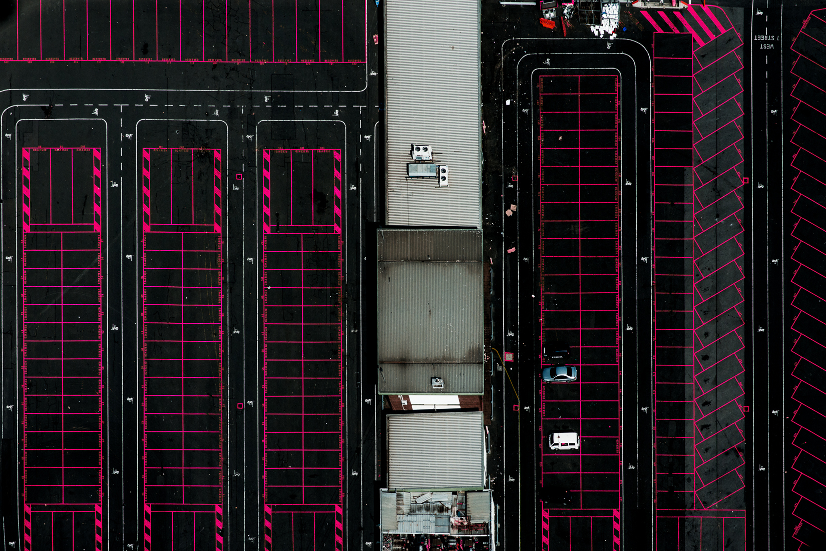 Pink 6.jpg