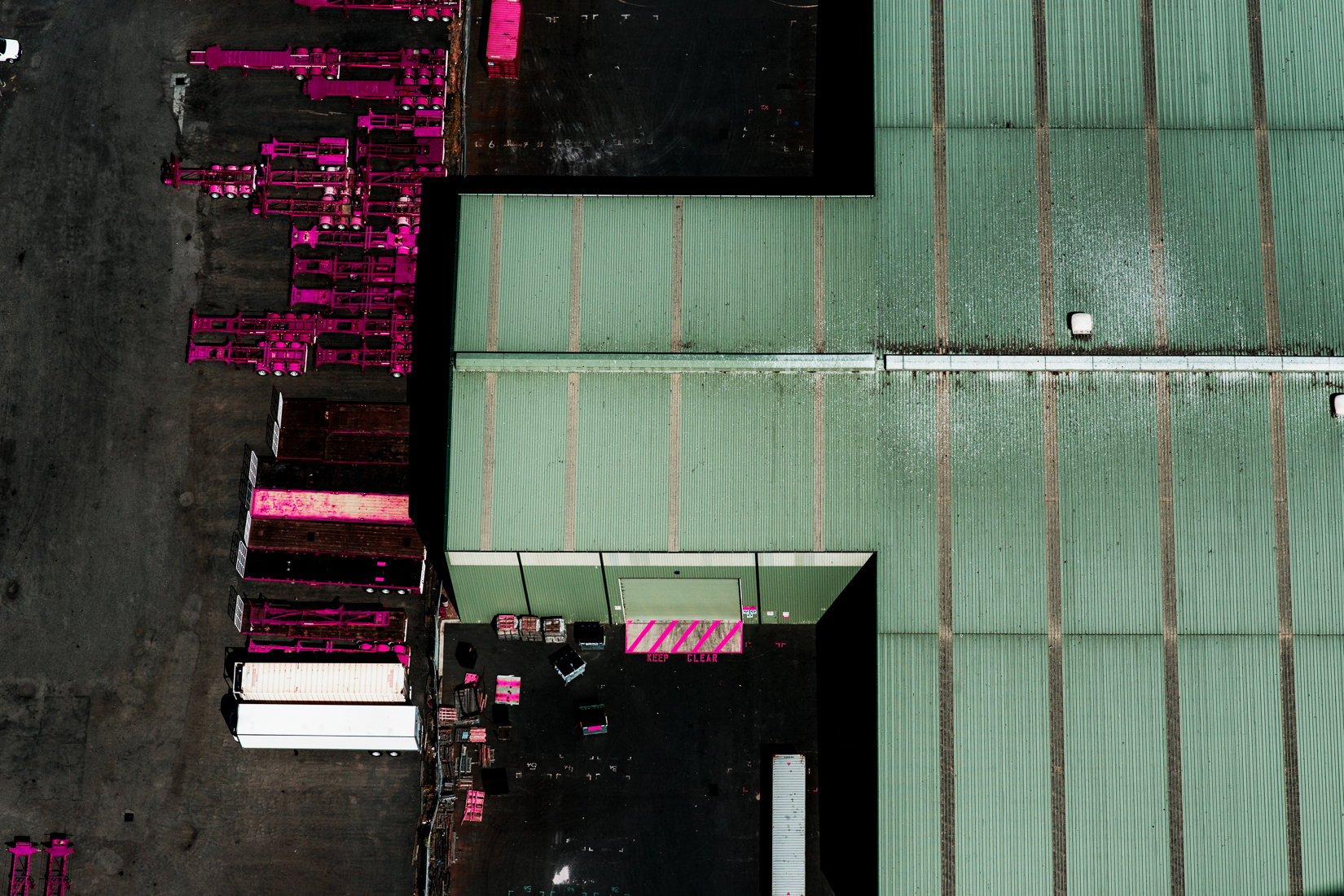 Pink 11.jpg