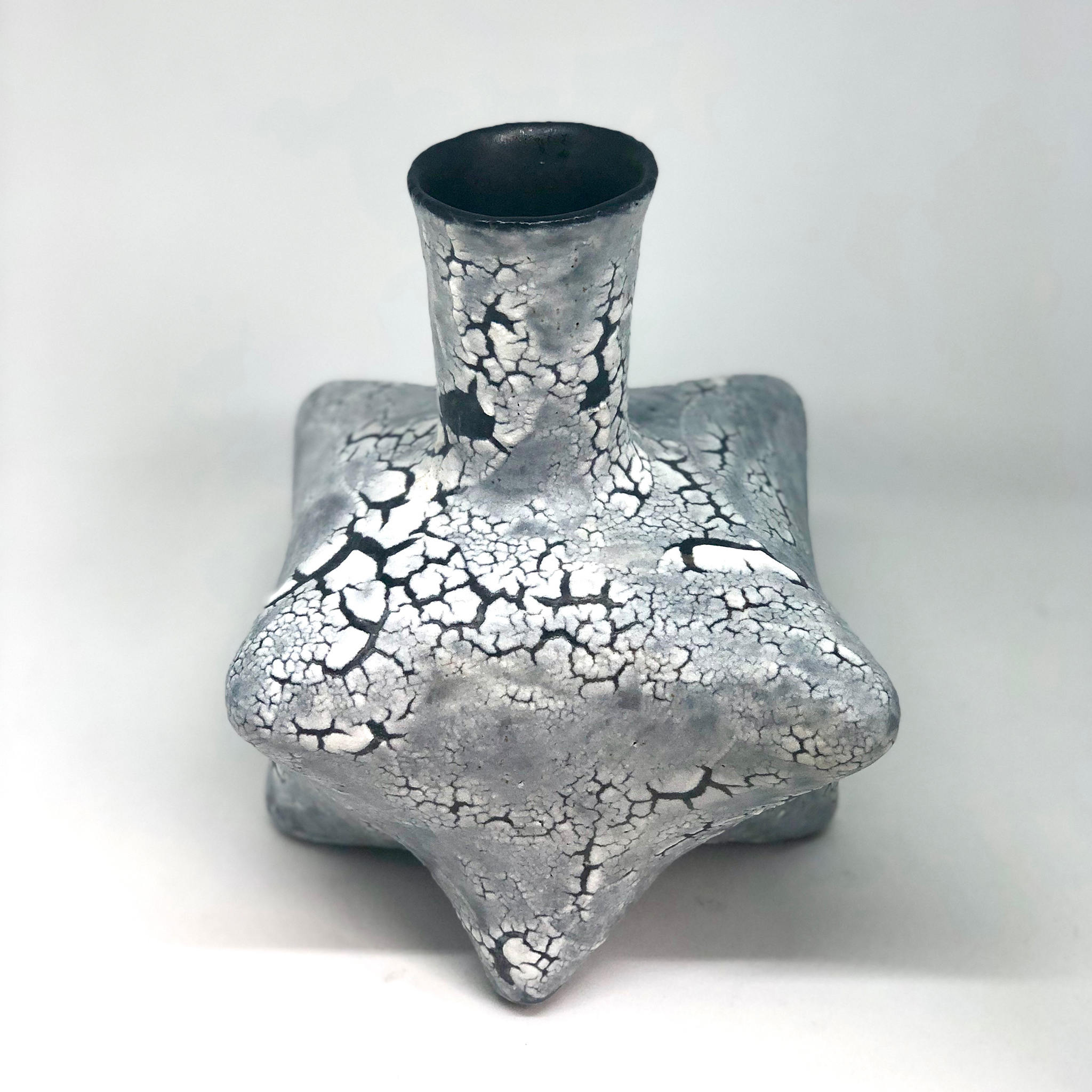 SOLD 'Star of Wonder'