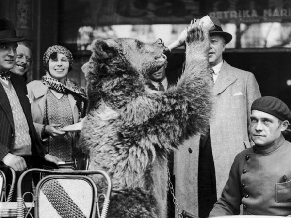 Yogi was certainly going to have a story for Boo-Boo!