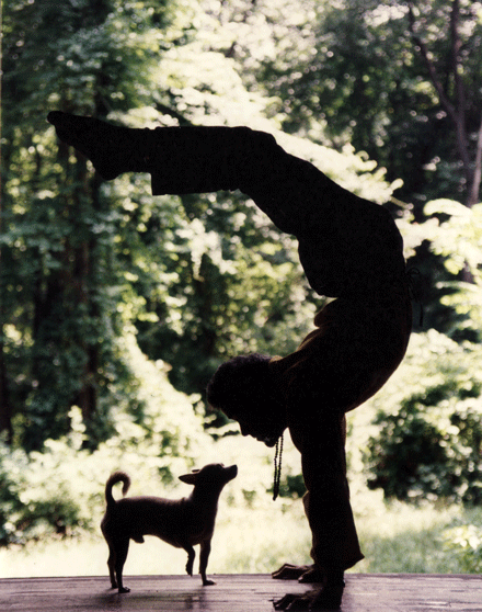 scorpion.gif