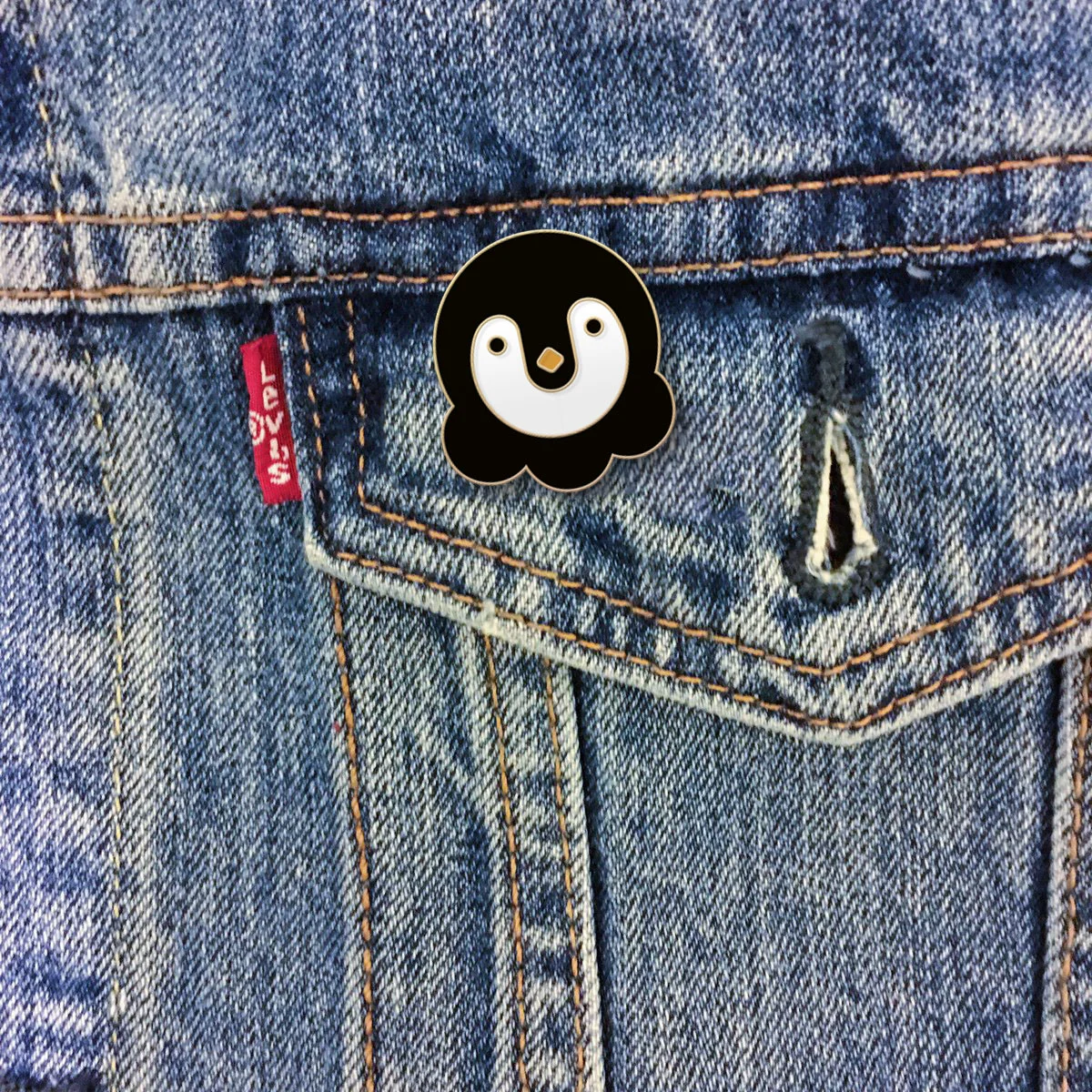 pin_jacket_isolated.jpg