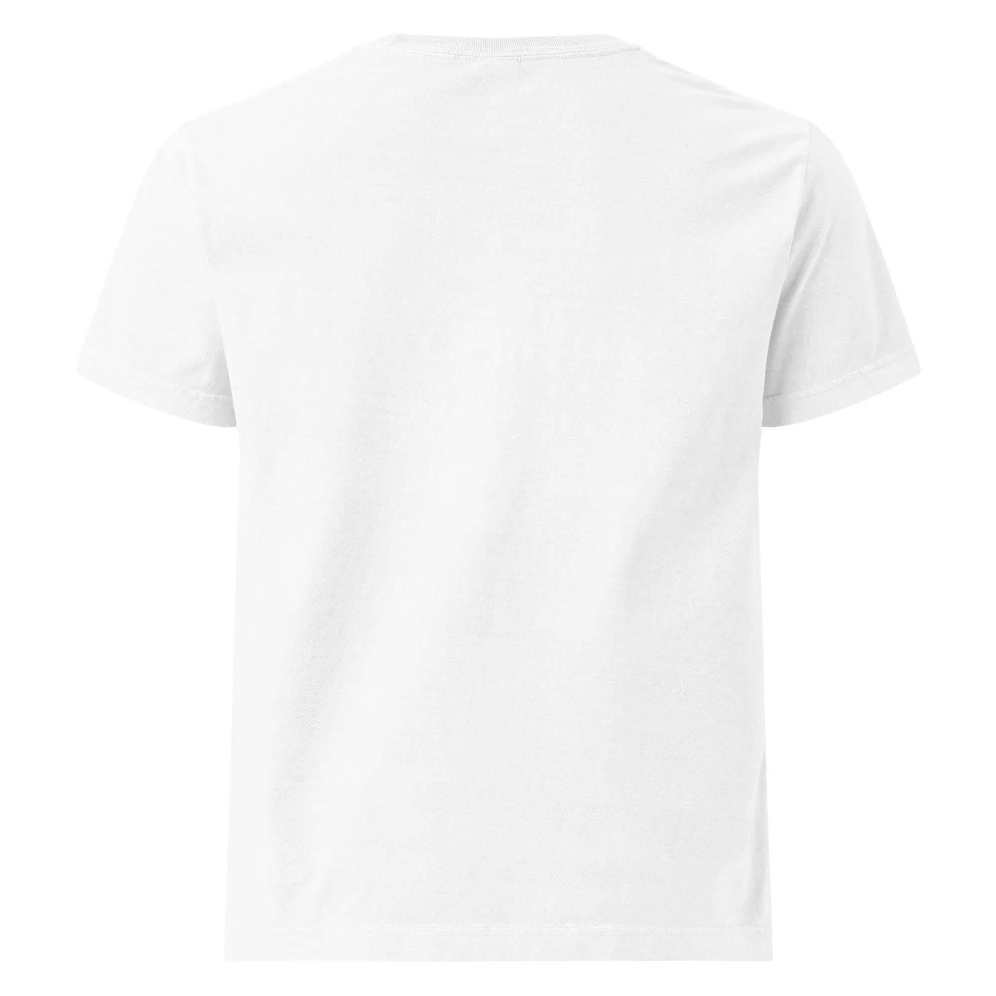 unisex-heavyweight-garment-dye-tee-white-back-6adec676c3988.jpg