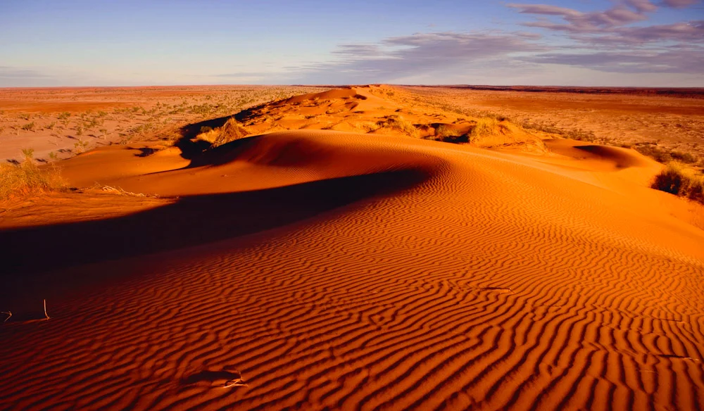 curvy dune.jpg