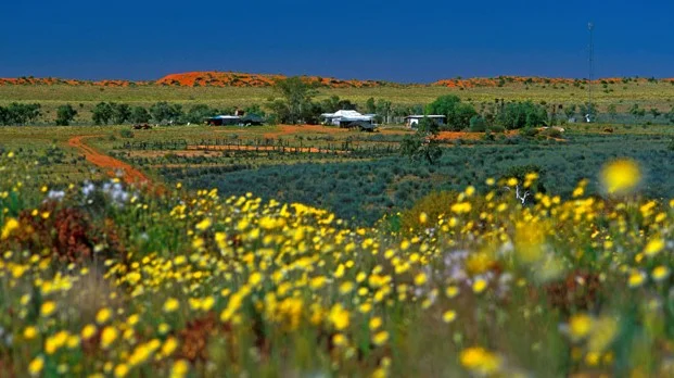 Old Andado station, Northern Territory