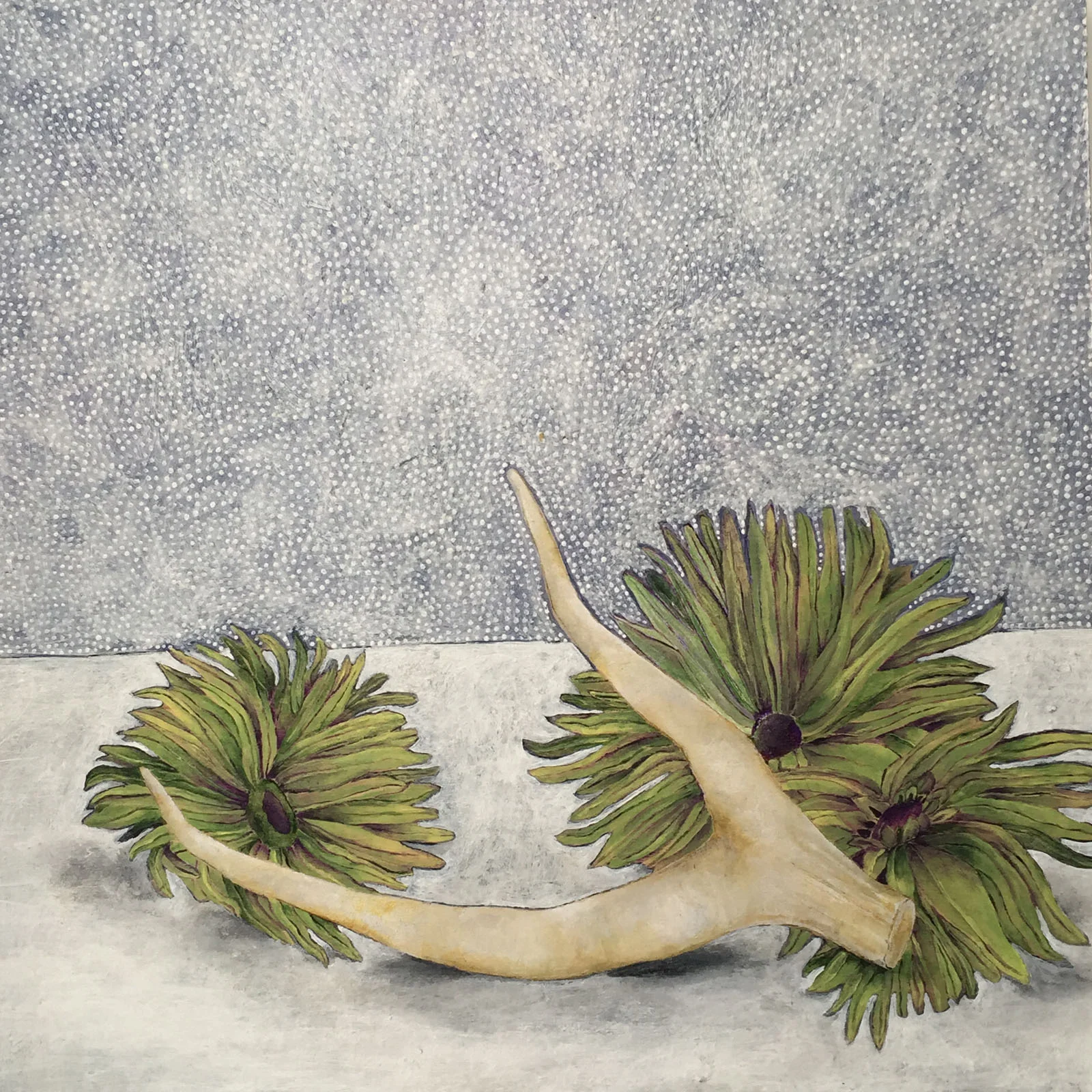 Antler No. 1 , acrylic on panel, 9.75" x 9.75"