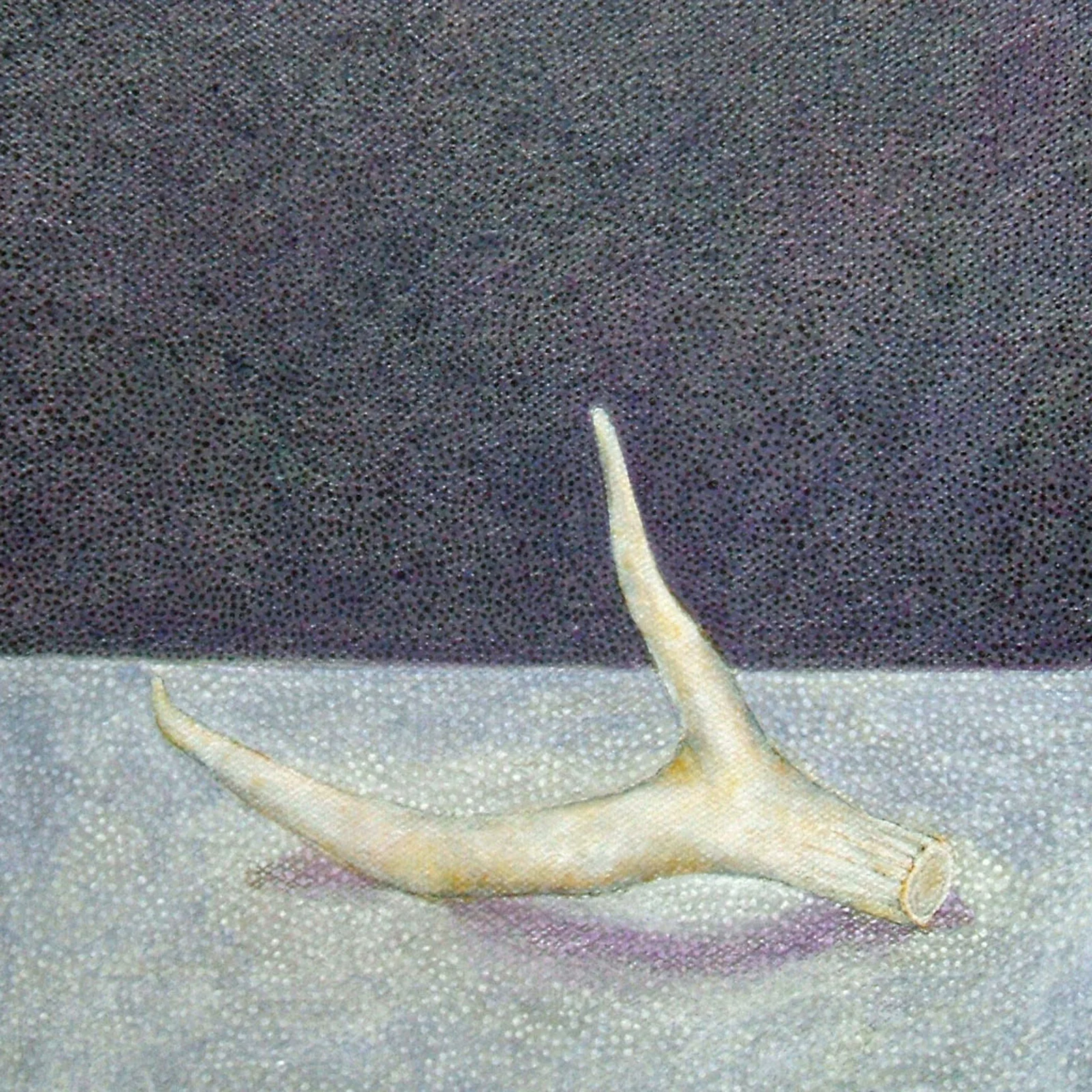 Antler No. 4 , acrylic on canvas, 7.75" x 7.75"