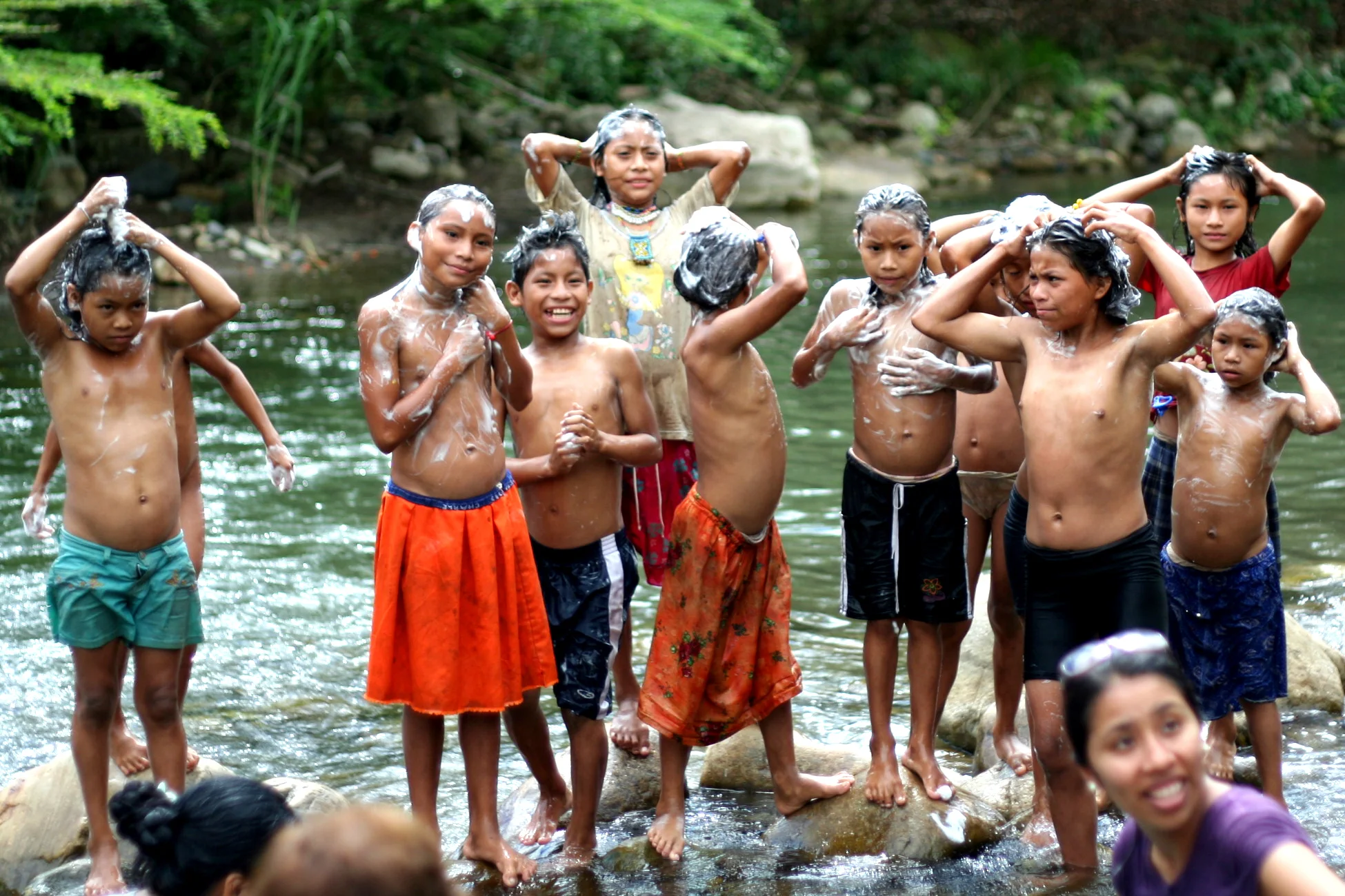 Peru: High Jungle