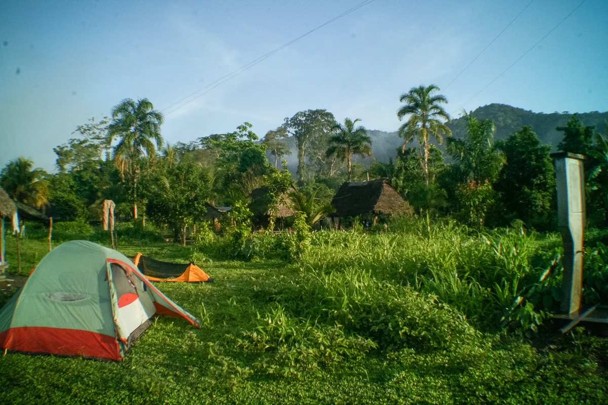 Peru: High Jungle