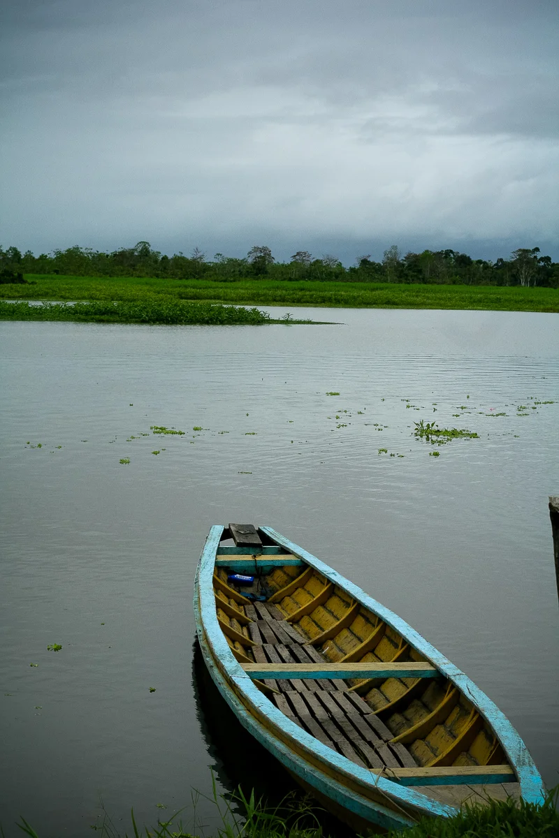 Peru: Amazon Jungle