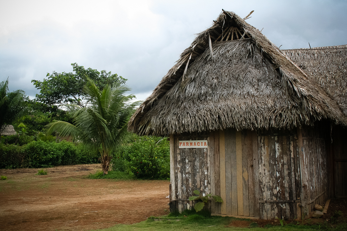 Peru: High Jungle