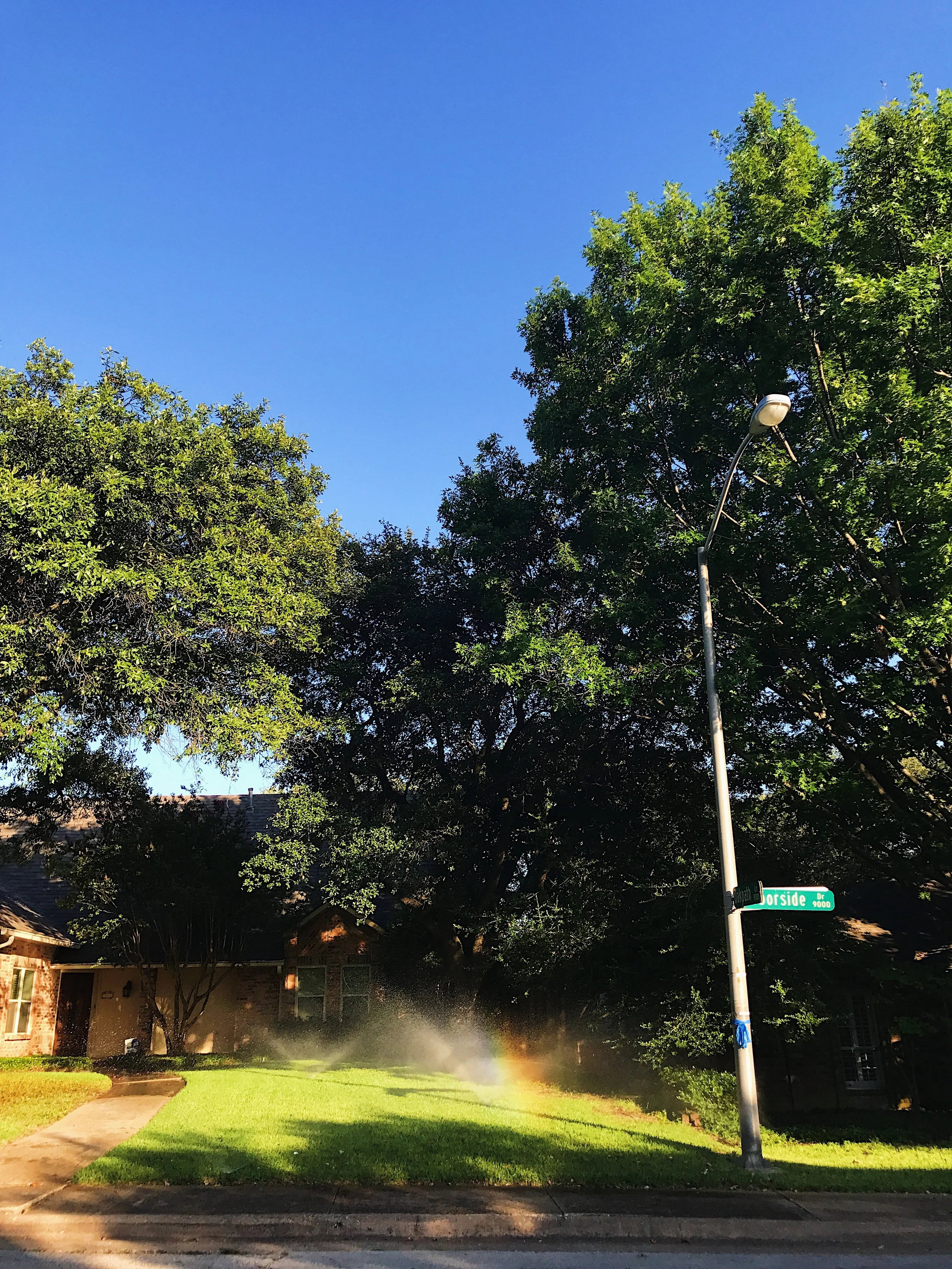 That rainbow!