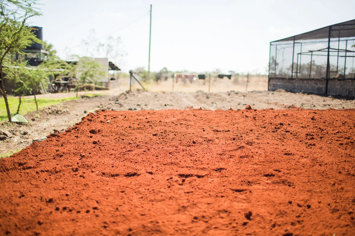 The dirt contrast!