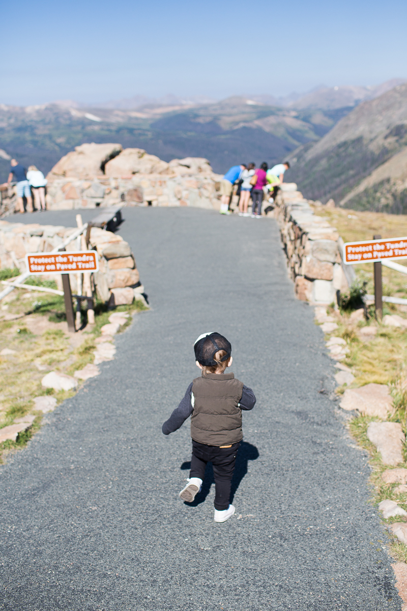 Ezra running the trail at the top of Trail Ridge Road. 