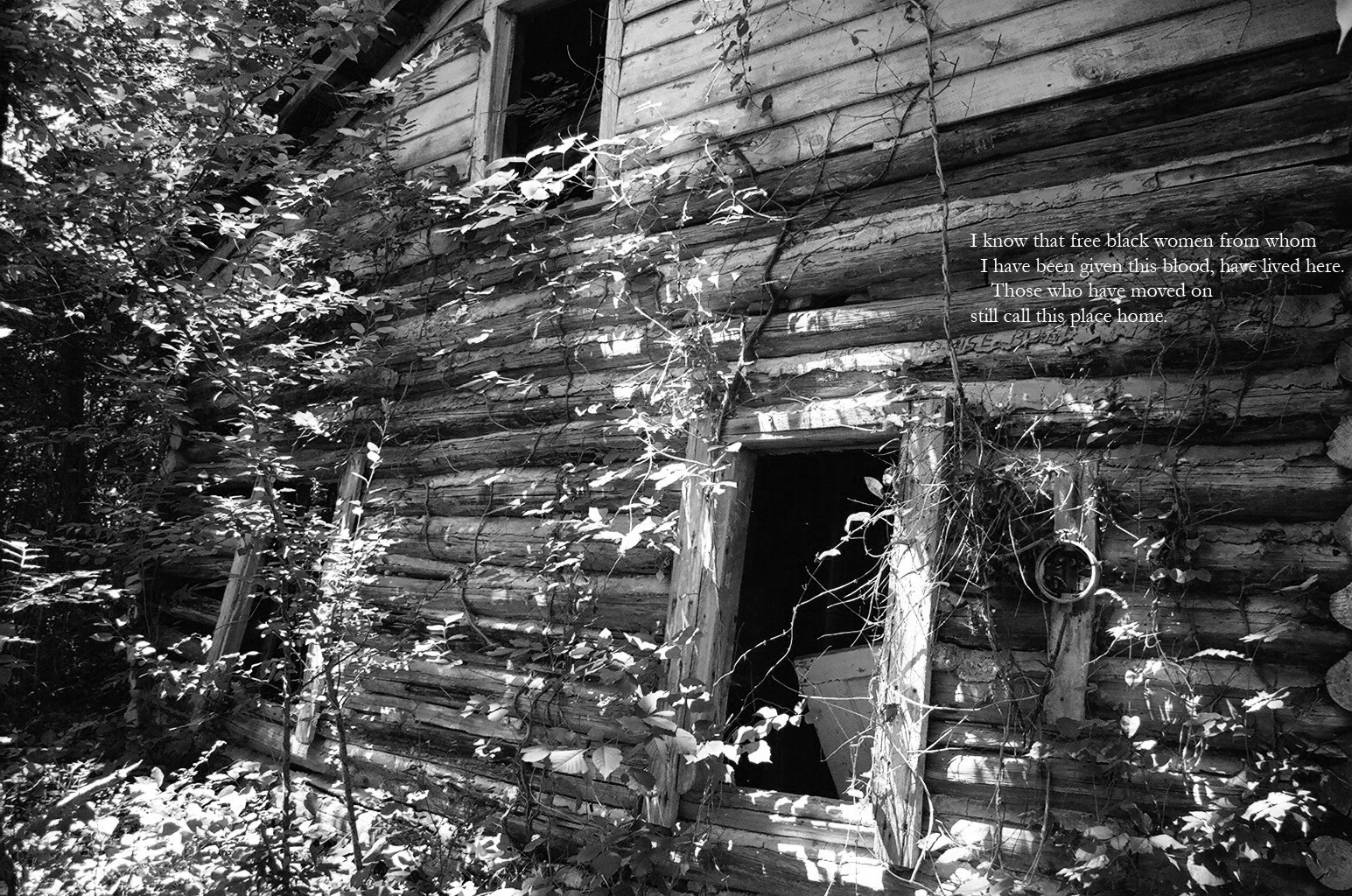 Tracing Ancestry #4
