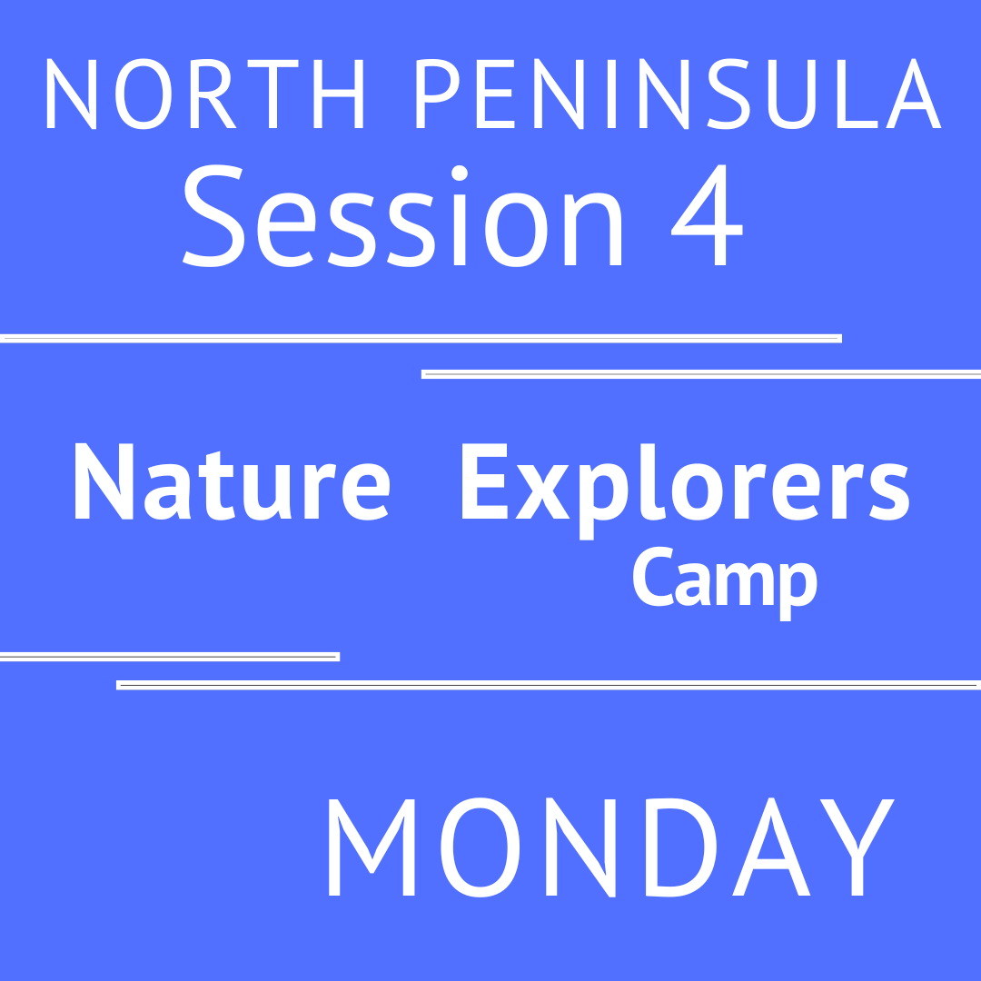 North Peninsula - Summer 2026 - Session 4: Monday Morning Adventures - Teacher V