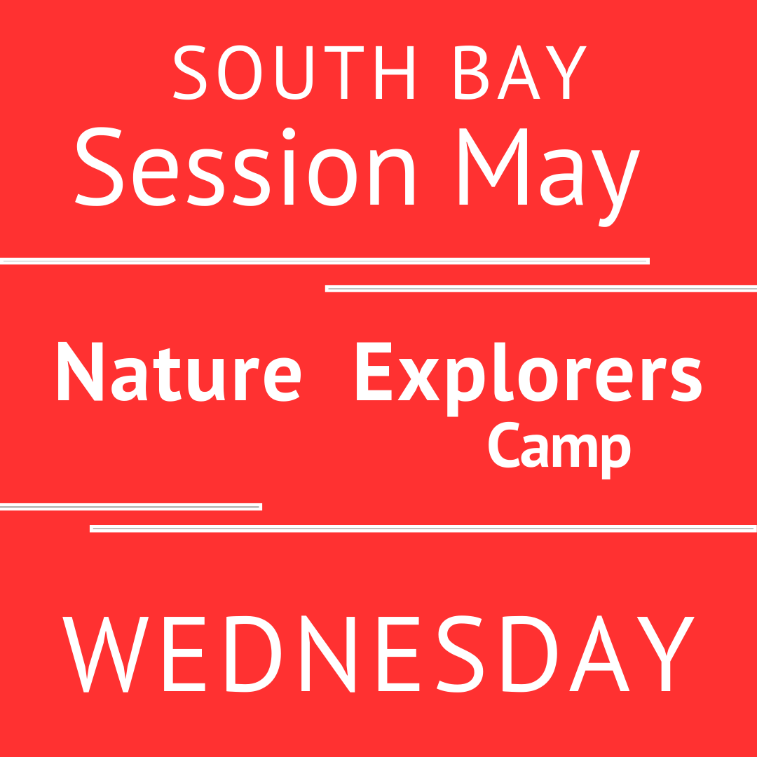 South Bay - Summer 2026 - Session May: Wednesday Early Bird - Teeny Tiny Treks - Teacher Erin