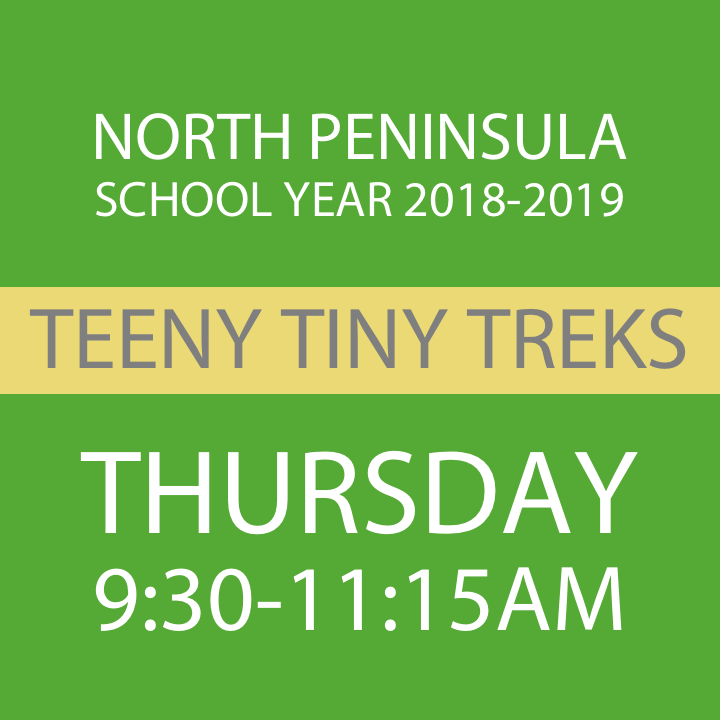 NP-SY1819-THURSDAY TTT.png