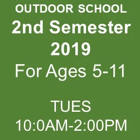 2nd semester TTOP 2019.jpg