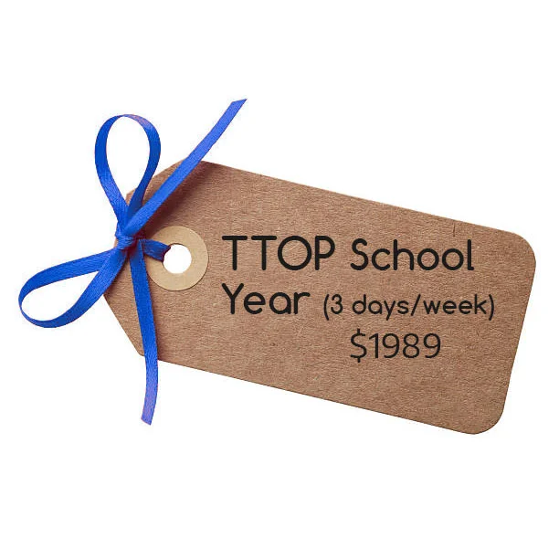 TTOP School Year (3 days/week)