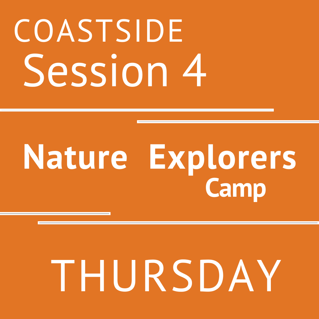 Coastside - Summer 2026 - Session 4: Thursday - Teacher Andrea