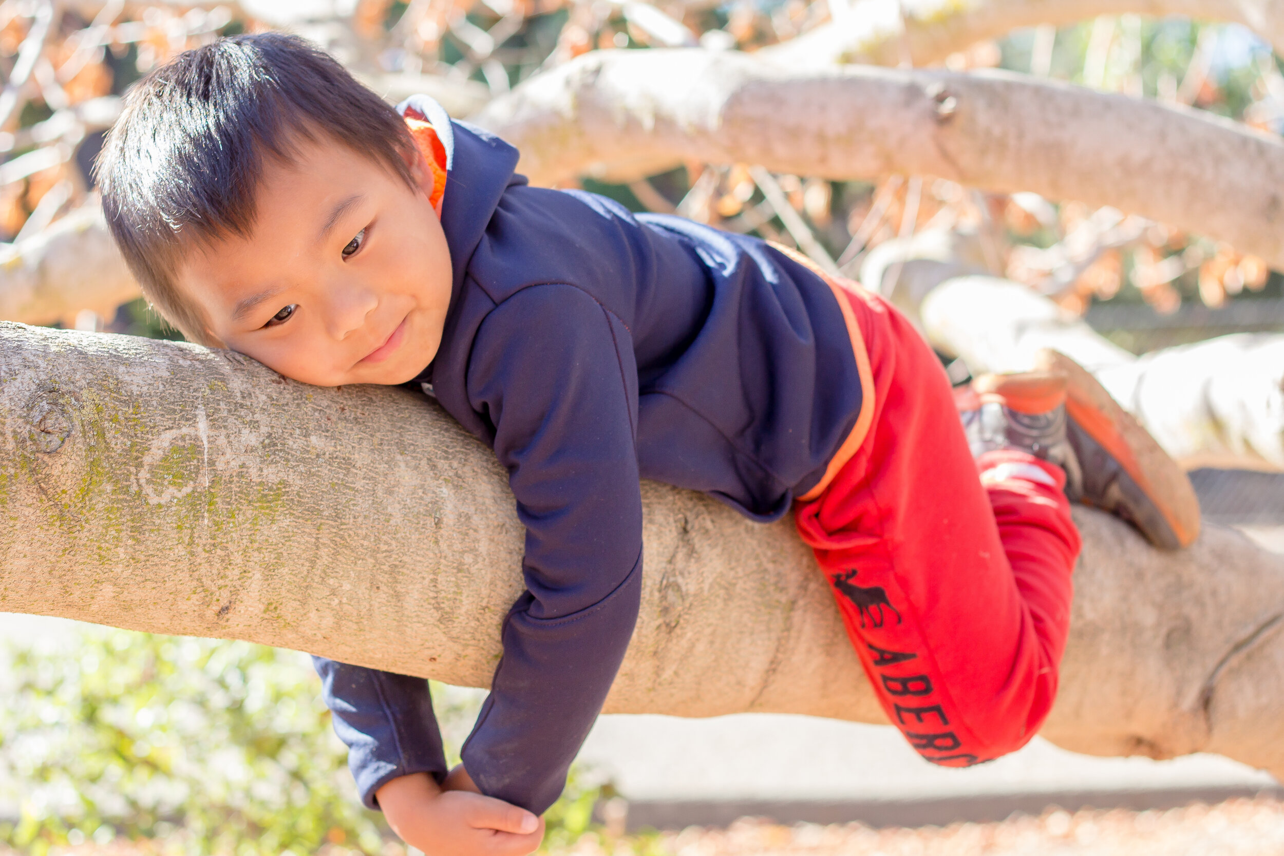 GorgeousBoy hanging on tree.jpg