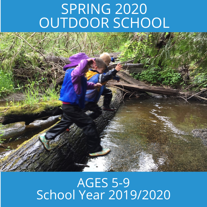 700x700 Outdoor school.png