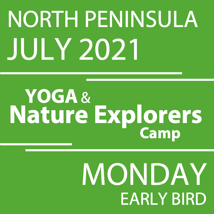 Slide23.png