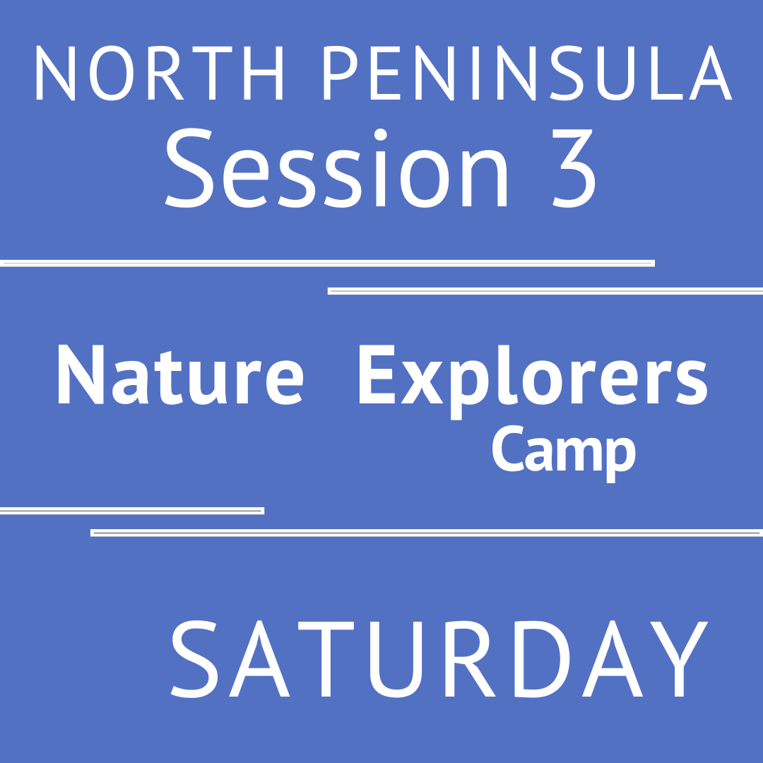 Summer North Peninsula 2026 - Session 3 Saturday  Morning Adventure Teacher Ally