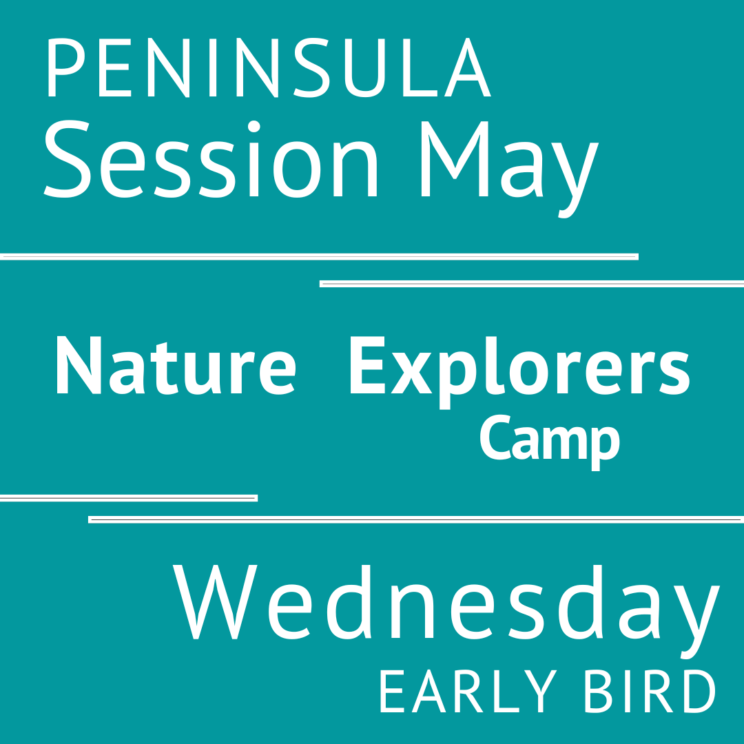 Peninsula - Summer 2026 - Session 1: Tuesday Early Bird - Teacher Andrea