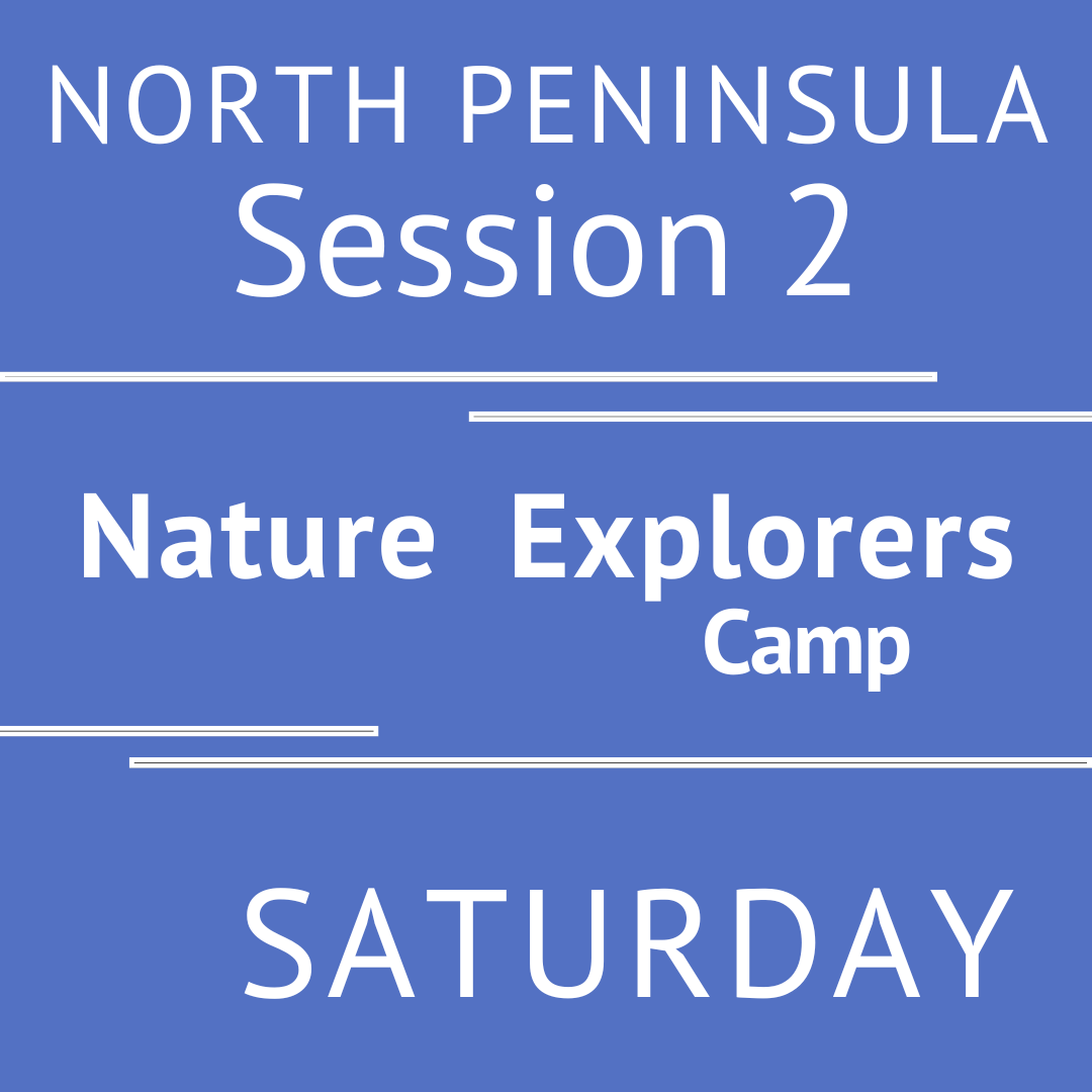 Summer North Peninsula 2026 - Session 2 Saturday  Morning Adventure Teacher Ally