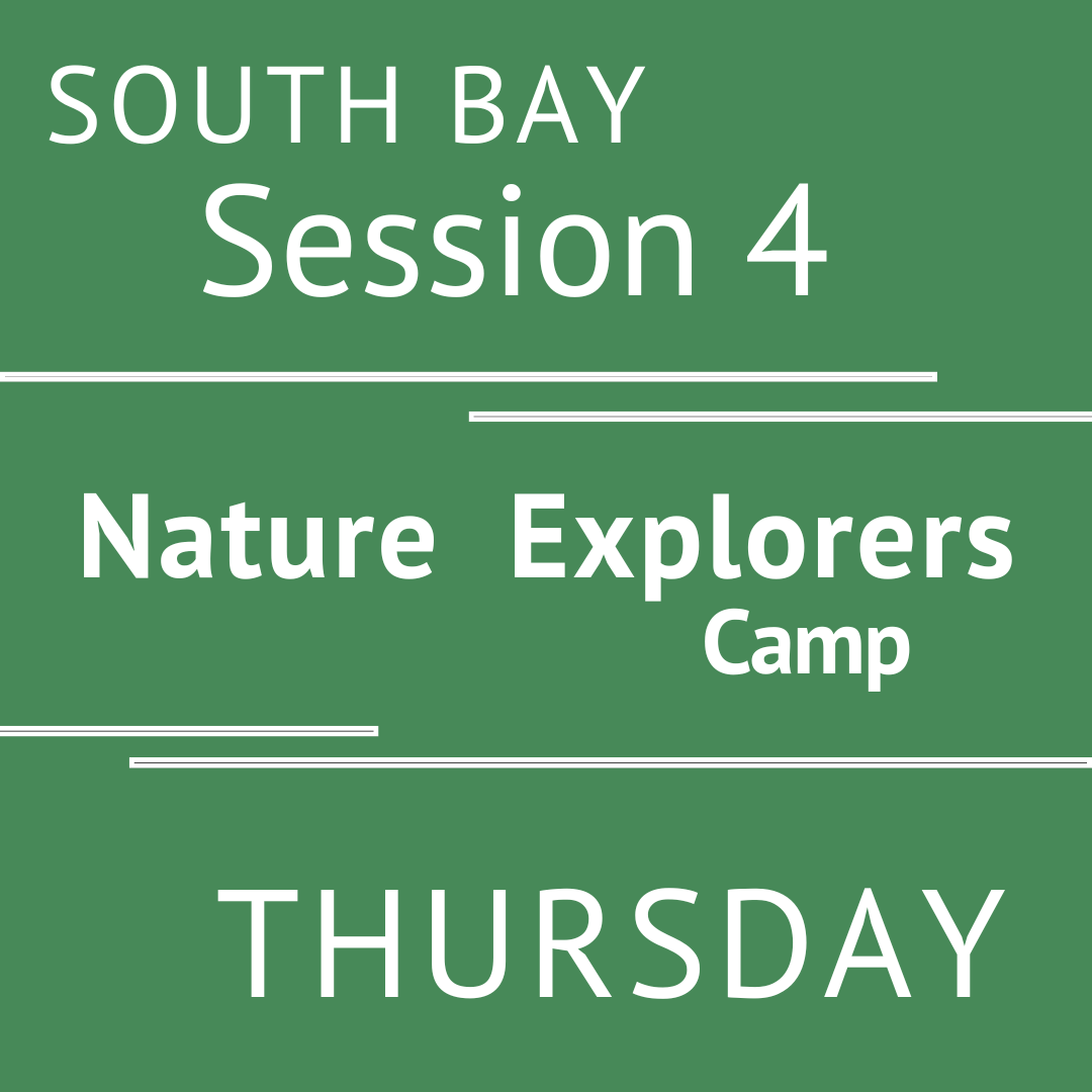 South Bay - Summer 2026 - Session 4: Thursday - Teacher Erin