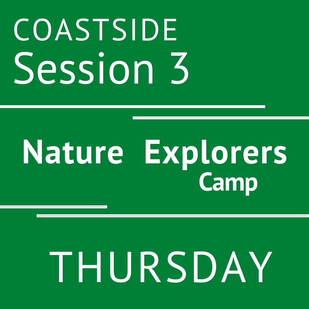 Coastside - Summer 2026 - Session 3: Thursday - Teacher Andera