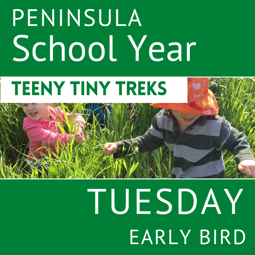 Peninsula - SY 2026-2027: Tuesday Early Bird -  Teeny Tiny Treks - Teacher Erin