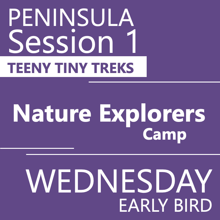 Peninsula - Summer 2026- Session 1: Wednesday Early Bird- Teeny Tiny Treks - Teacher Vanessa