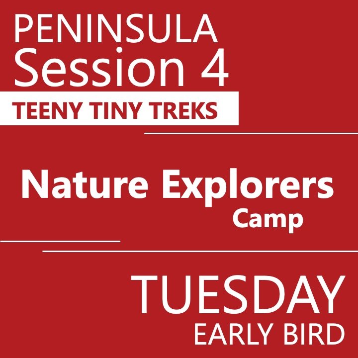 Peninsula - Summer 2025 - Session 4: Tuesday Early Bird - Teeny Tiny Treks - Teacher Erin